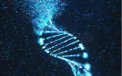 What is epigenetics?